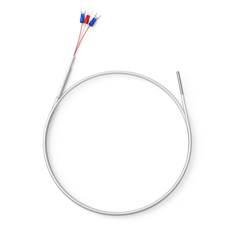 鐵氟龍熱電阻12_http://m.gzyuanda.com_溫度儀表_第1張