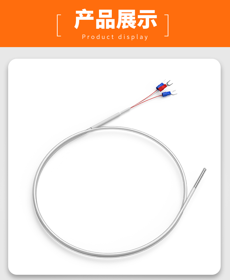 鐵氟龍熱電阻12_http://m.gzyuanda.com_溫度儀表_第13張