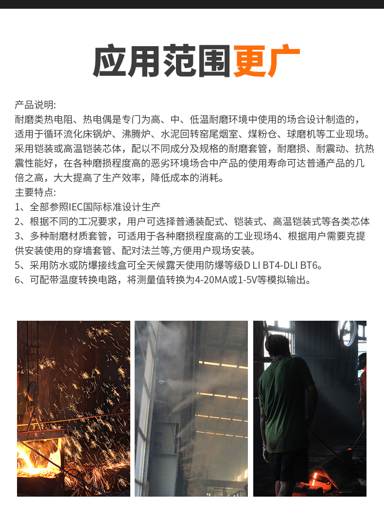 WRNM-131耐磨熱電偶15_http://m.gzyuanda.com_溫度儀表_第6張